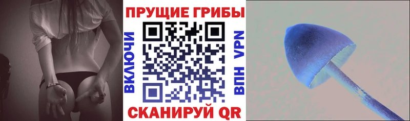 Псилоцибиновые грибы мицелий  купить   Цивильск 